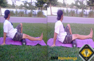 smr hamstrings