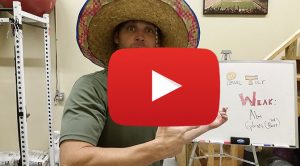 apt_vid_header_1